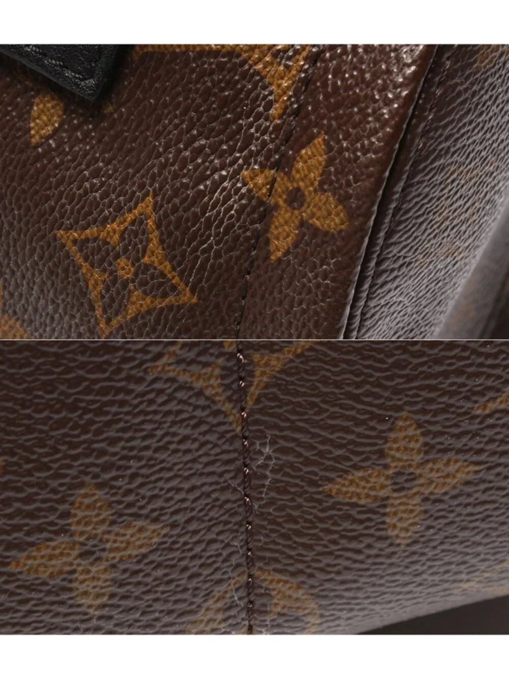 Louis Vuitton Backpack Palm Springs Mini Monogram